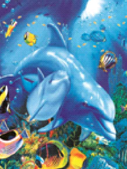 3D LiveLife magneet: Dolfijn met jong