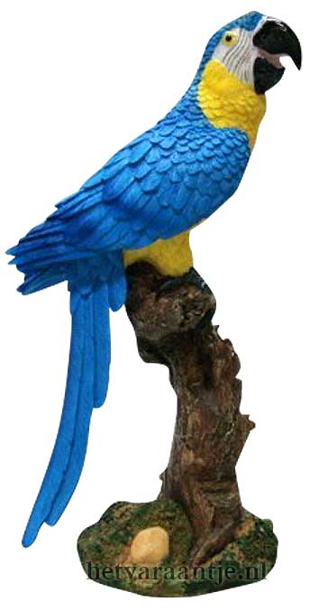 Blauwe papegaai